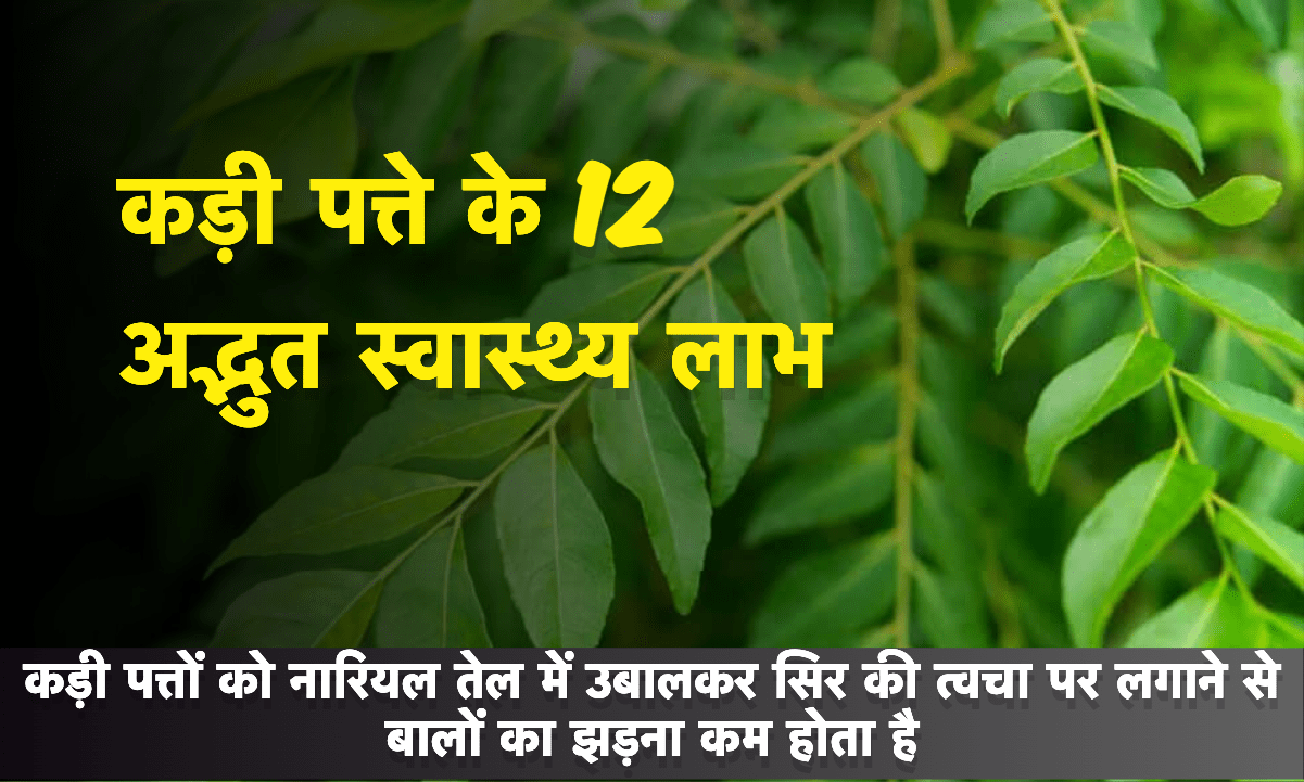 Health benefits of curry leaves for digestion, diabetes, and hair