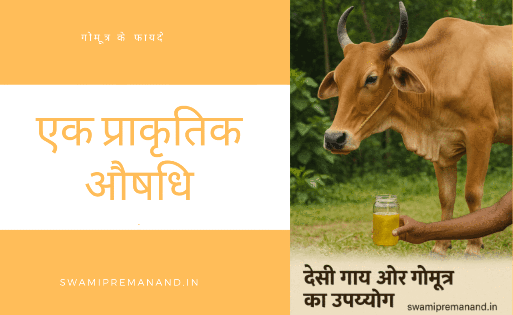 गोमूत्र के फायदे का हिंदी इन्फोग्राफिक